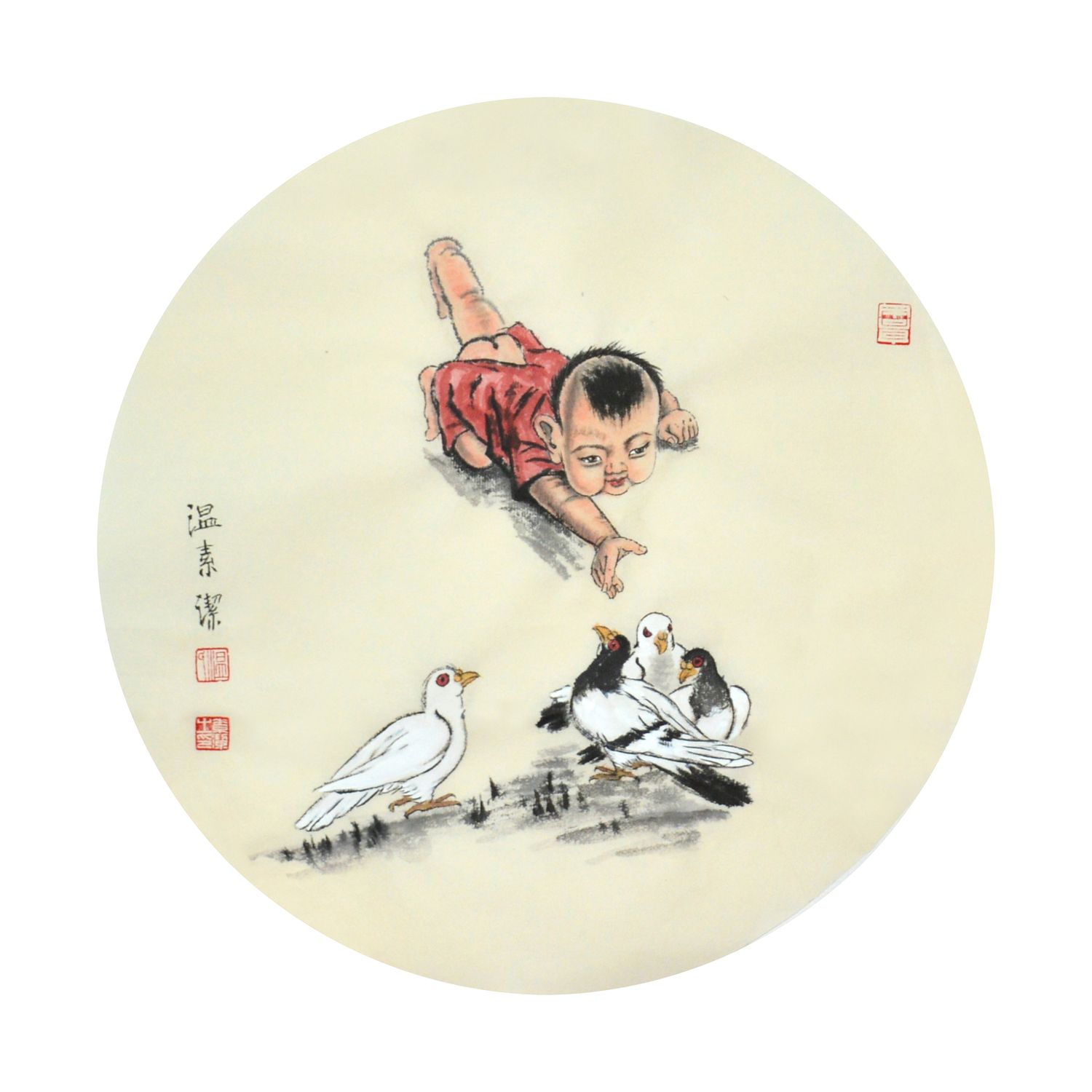 寓意 和平鸽 001